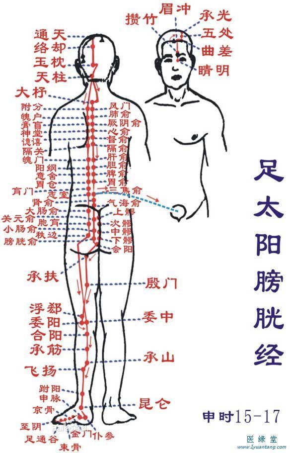如何利用足太陽膀胱經“生命www.成人抖音”提精神，增加健康指數